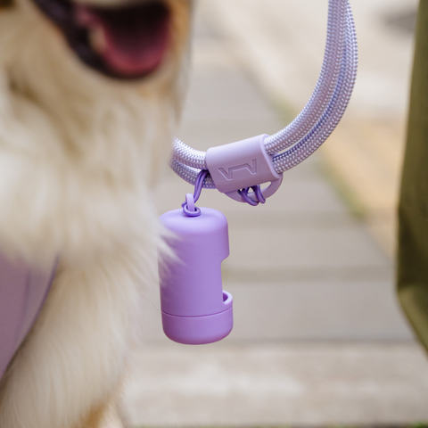 Dispensador de bolsas