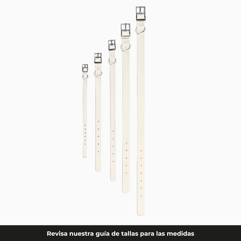 Marfil, Mocca, Medianoche