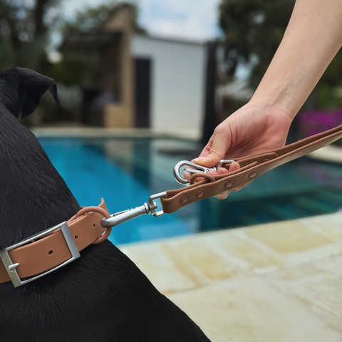 Correa Multifuncional